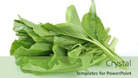  Presentation with chinese chinese - Slide deck having chinese-kale-vegetable-isolated background and a yellow colored foreground