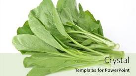  Presentation with chinese chinese - Presentation theme featuring chinese-kale-vegetable-isolated background and a yellow colored foreground