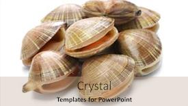  Presentation with sushi - Cool new slides with chinese-mactra-aoyagi-japanese-sushi backdrop and a coral colored foreground