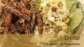  Presentation with chinese-medicine - Presentation enhanced with chinese-medicine-herbal-tea-ingredients and a  colored foreground