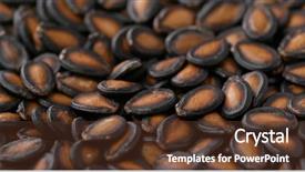  Presentation with black seed - Beautiful slide deck featuring chinese new year black melon backdrop and a tawny brown colored foreground