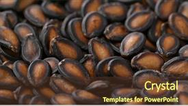  Presentation with black seed - Presentation theme having chinese new year black melon background and a tawny brown colored foreground