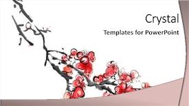  Presentation with calligraphy - Presentation design consisting of fmcg - fast moving consumer goods background and a lemonade colored foreground.