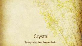  Presentation with chinese paintings - PPT theme having chinese paintings - bamboo on old grunge paper background and a soft green colored foreground