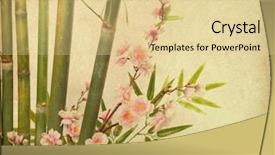  Presentation with chinese paintings - PPT theme with chinese paintings - plum blossom and bamboo background and a blonde colored foreground