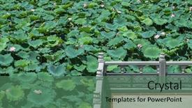  Presentation with chinese - Colorful presentation theme enhanced with chinese pavilion column with water lilies backdrop and a ocean colored foreground