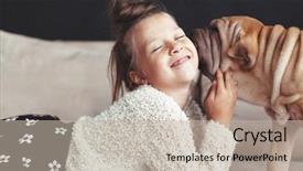  Presentation with pei - PPT theme having chinese shar pei dog background and a mint green colored foreground