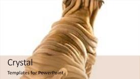  Presentation with pei - Cool new PPT theme with chinese shar pei sitting looking up isolated on white background backdrop and a yellow colored foreground