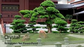  Presentation with chinese traditional - Audience pleasing presentation theme consisting of chinese traditional garden backdrop and a seafoam green colored foreground