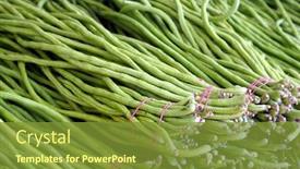  Presentation with long beans - Colorful theme enhanced with chinese-vegetable-stand-long-beans backdrop and a tawny brown colored foreground