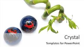  Presentation with lucky bamboo - Presentation featuring chinese zen balls and lucky background and a white colored foreground