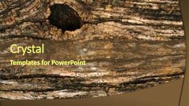  Presentation with tree wildland fire - Beautiful presentation theme featuring chinken - bark of tree background backdrop and a  colored foreground