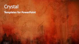  Presentation with plaster - Colorful presentation enhanced with chinken - orange plaster on old wall backdrop and a  colored foreground