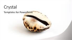  Presentation with black-sea - Amazing PPT layouts having oil refinery - drilling rig operating outside backdrop and a navy blue colored foreground.