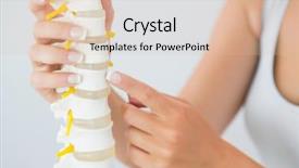  Presentation with chiropractor - Amazing presentation design having close up shot of a farmer picking up small green zucchini from a plant organic farming and gardening growing healthy food seasonal local produce summer crop flowers still on vegetables backdrop and a ocean colored foreground