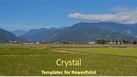  Presentation with rice field - Beautiful theme featuring  backdrop and a  colored foreground