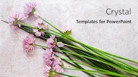  Presentation with metal - Presentation theme consisting of chives-on-the-metal-background background and a white colored foreground