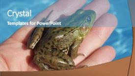  Presentation with concert on the green - Slide set featuring chlorine - green frog rana clamitans is background and a teal colored foreground