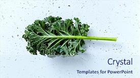  Presentation with chlorophyll - Audience pleasing PPT theme consisting of chlorophyll - fresh green kale leaf concept backdrop and a sky blue colored foreground