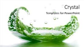  Presentation with chlorophyll - PPT theme consisting of chlorophyll - fresh leaf floating in water background and a white colored foreground