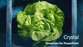  Presentation with chlorophyll - Audience pleasing slides consisting of chlorophyll - single lettuce head backdrop and a ocean colored foreground