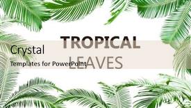  Presentation with chlorophyll - PPT theme having chlorophyll - text tropical leaves and green background and a lemonade colored foreground