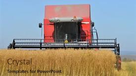  Presentation with rapeseed - Presentation design having chlumcany-czech-republic-aug-2 background and a gold colored foreground