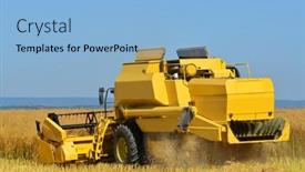  Presentation with rapeseed - 