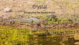  Presentation with national - Audience pleasing PPT layouts consisting of chobe national park in botswana backdrop and a coral colored foreground