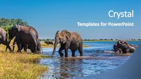  Presentation with african river - Slide set enhanced with chobe national park in botswana background and a teal colored foreground