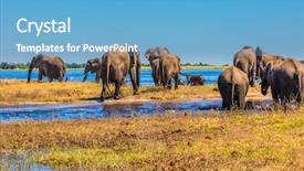  Presentation with philippine national hero - PPT layouts enhanced with chobe national park in botswana background and a light blue colored foreground