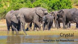  Presentation with african river - PPT theme having chobe national park in botswana background and a coral colored foreground