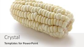  Presentation with corn - Theme enhanced with  background and a  colored foreground