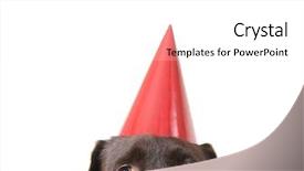  Presentation with party flyer - Slide deck consisting of chocolate lab with a party background and a white colored foreground