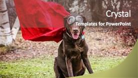  Presentation with hot chocolate - Amazing slides having chocolate labrador retriever posing backdrop and a tawny brown colored foreground