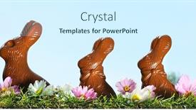  Presentation with chocolate - PPT layouts consisting of chocolate rabbits in the grass background and a cool aqua colored foreground