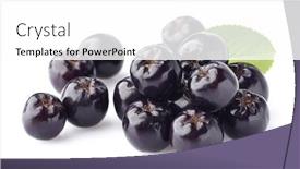  Presentation with health hope healing - Beautiful slides featuring chokeberry-berries-for-health backdrop and a white colored foreground
