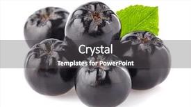  Presentation with engineering robotics development closeup electronics - PPT theme enhanced with chokeberry in closeup background and a dark gray colored foreground