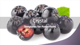  Presentation with neem leaf - PPT theme with chokeberry with leaf background and a gray colored foreground