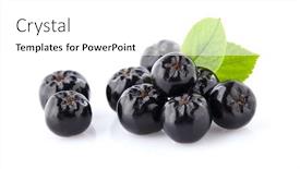  Presentation with leaves - Slide deck featuring chokeberry-with-leaves-in-closeup background and a white colored foreground