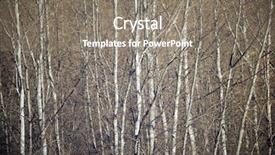  Presentation with winter evergreen forest - Slide deck featuring choper - poplar forest in winter background and a gray colored foreground