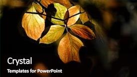  Presentation with glow - Presentation enhanced with choper - poplars shimmer in the morning background and a  colored foreground