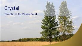  Presentation with cannabis marijuana field - Amazing theme having choper - two poplars on field backdrop and a  colored foreground