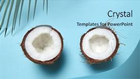  Presentation with green coconut - PPT theme consisting of chopped coconut and green palm background and a light blue colored foreground