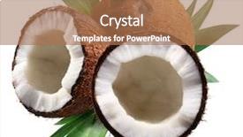  Presentation with paths - Audience pleasing theme consisting of chopped coconuts with leaves backdrop and a  colored foreground