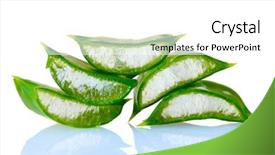  Presentation with aloe vera - Colorful PPT layouts enhanced with chopped leaf aloe vera isolated backdrop and a white colored foreground