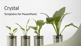  Presentation with recycle - Amazing slide set having choy sum growth stage backdrop and a white colored foreground