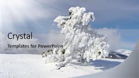  Presentation with winter blue - Audience pleasing slides consisting of chrismas blue - winter in the mountains backdrop and a light gray colored foreground