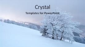  Presentation with winter blue - Amazing PPT theme having chrismas blue - winter tree backdrop and a light blue colored foreground