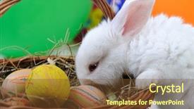  Presentation with easter basket - PPT theme enhanced with christian birthday - white beautiful rabbit easter bunny background and a tawny brown colored foreground